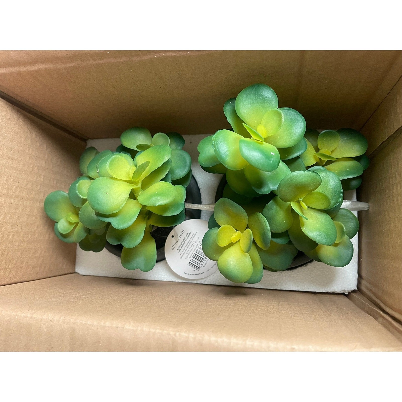 Set of 2 Allen + Roth Artificial Potted Jade Plant 10 Inch Model 961134