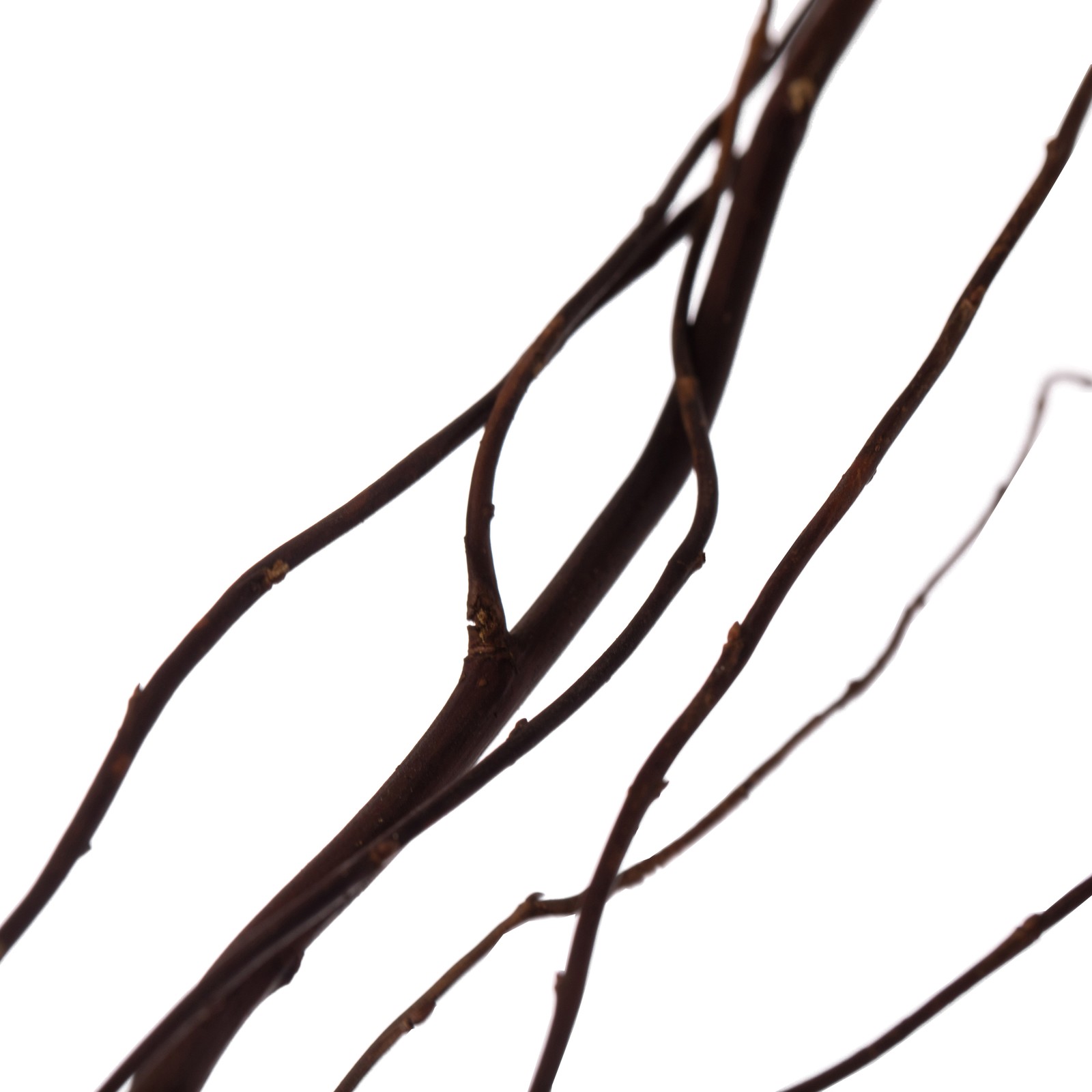 Decorative Dry Branches Authentic Willow Sticks for Home Decoration, 12 Pieces