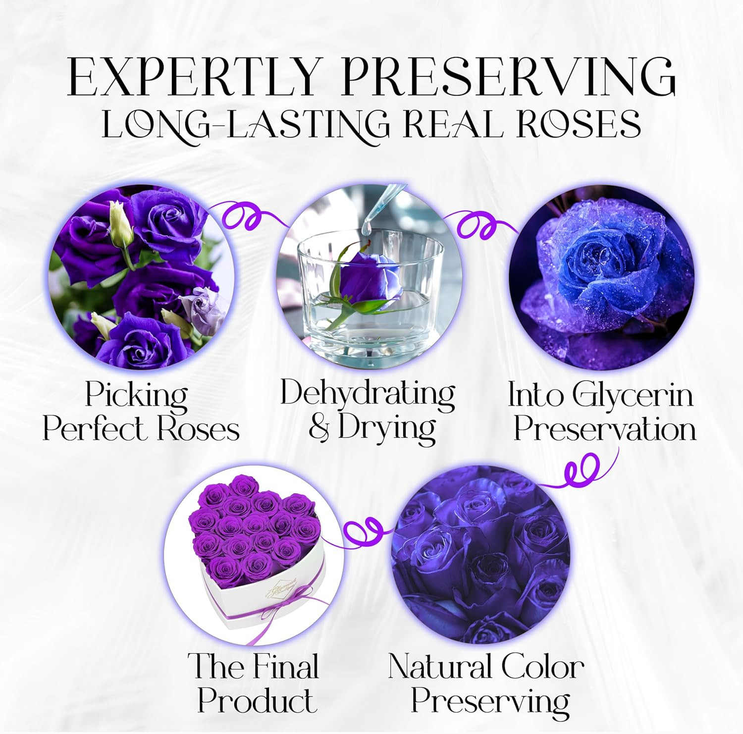 Valentines Day Preserved Roses in Heart Box 16 Forever Flowers Gift for Her