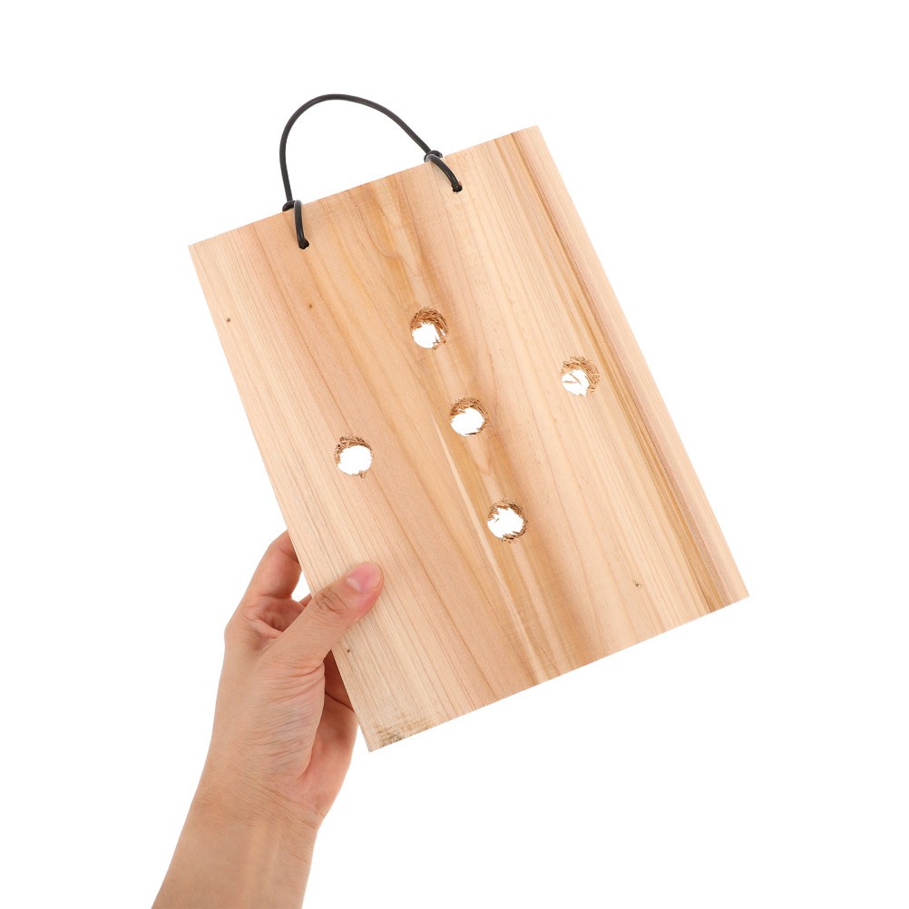 Fern Mounting Board – Hanging Planting Plate Orchids Wood Wall Planter for