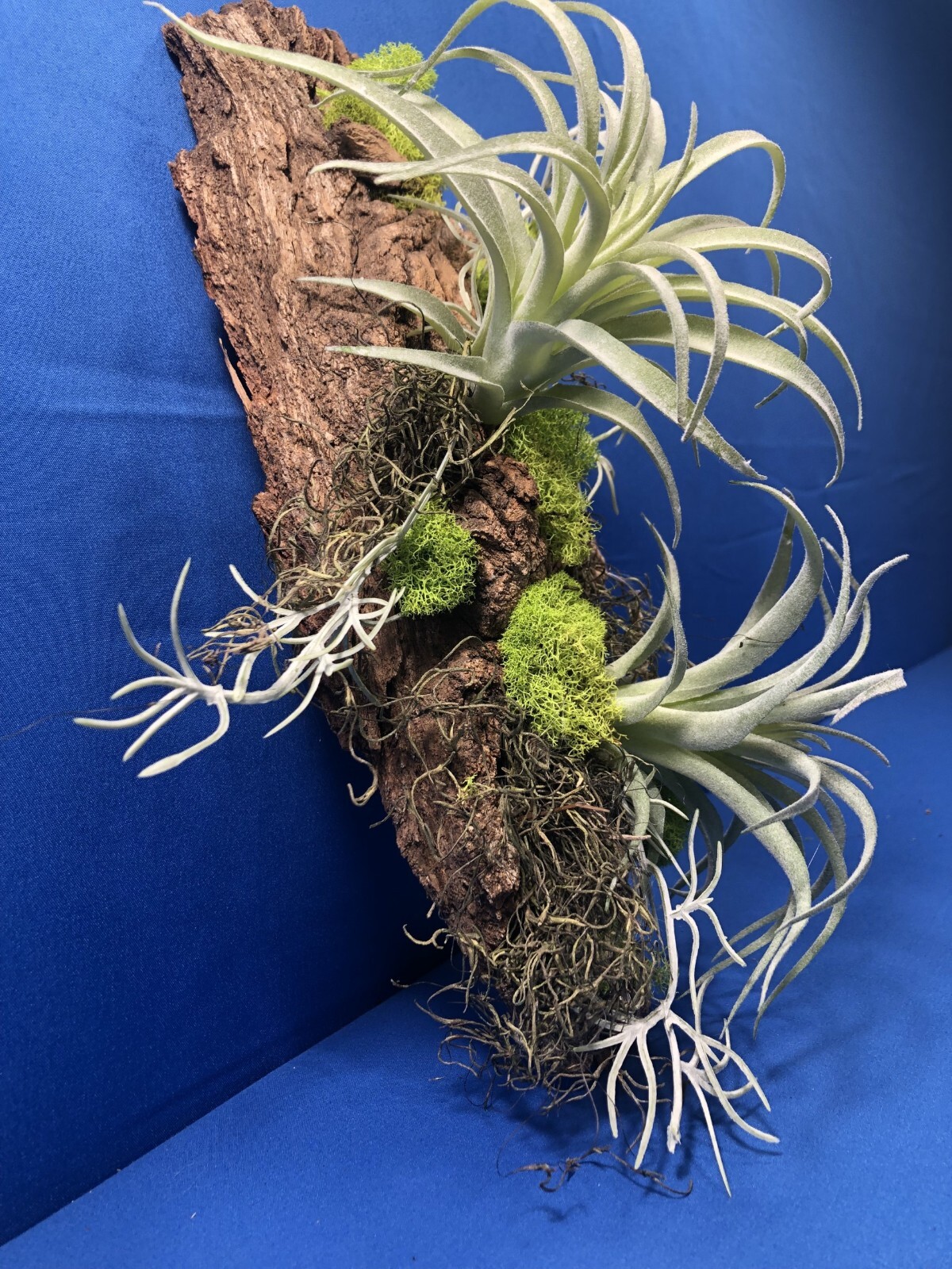 Artificial Succulent Air Plant Wall Art Home Office Mounted on Real Wood Bark