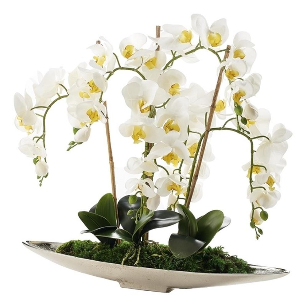 Pemberly Row Contemporary White Real-Touch Orchids in Silver Denver Boat