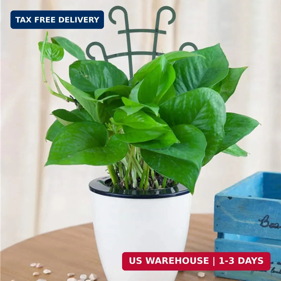 4 Pack of Climbing Plant Trellis – Easy Assembly for Indoor/Outdoor Use