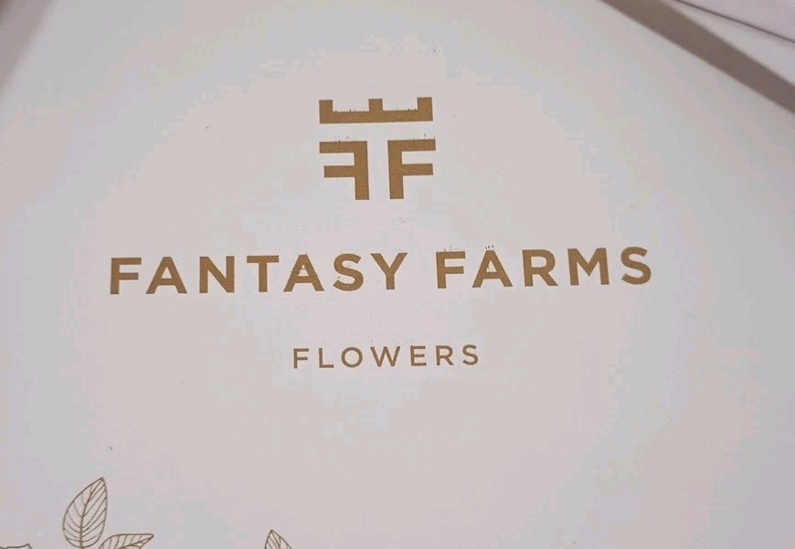 Fantasy Farms Flowers Display Set Of 20 Bijou Roses