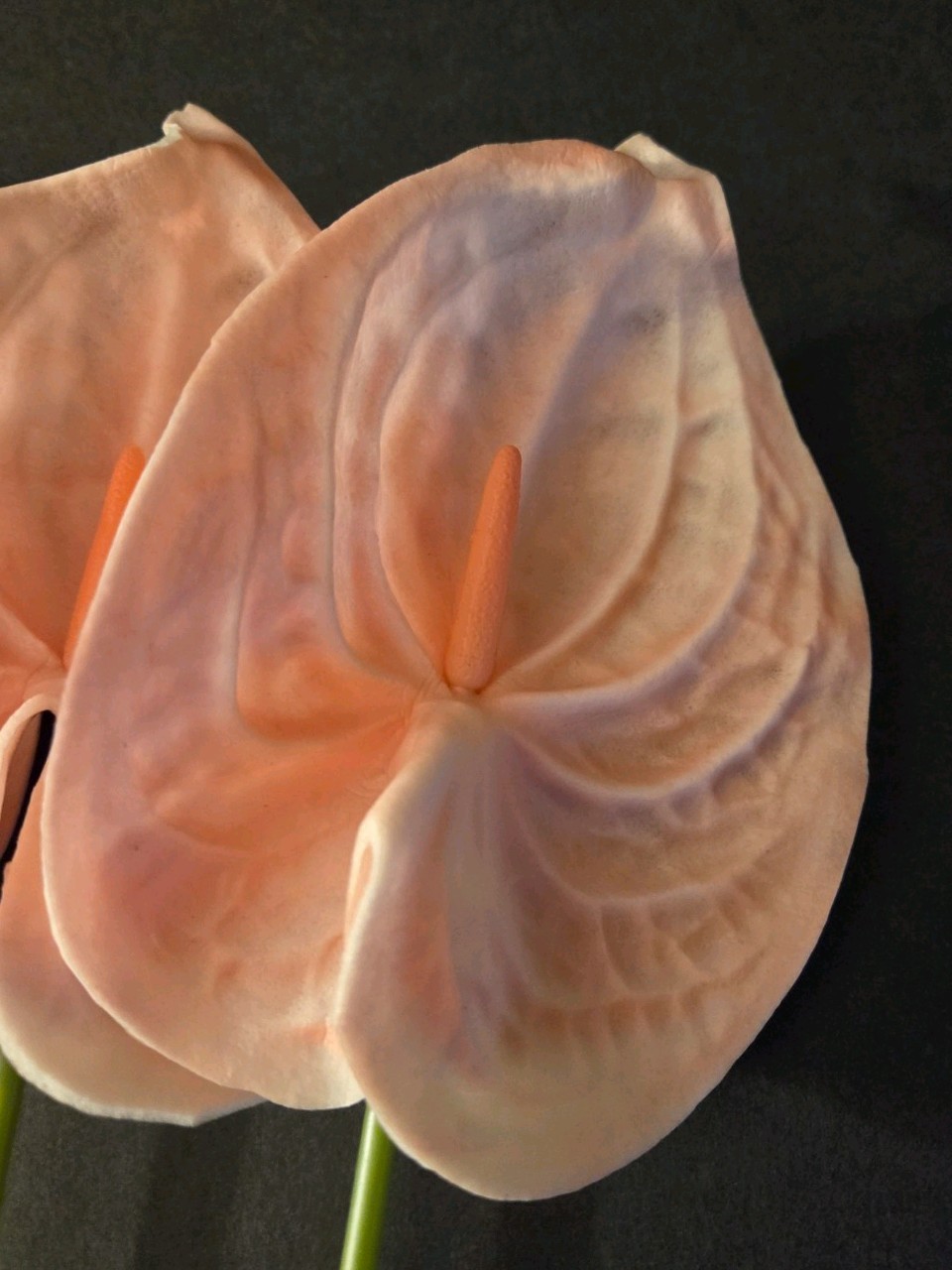 Artificial Anthurium Flowers 7 Pieces Shabby Blush Silk Faux Green Stems