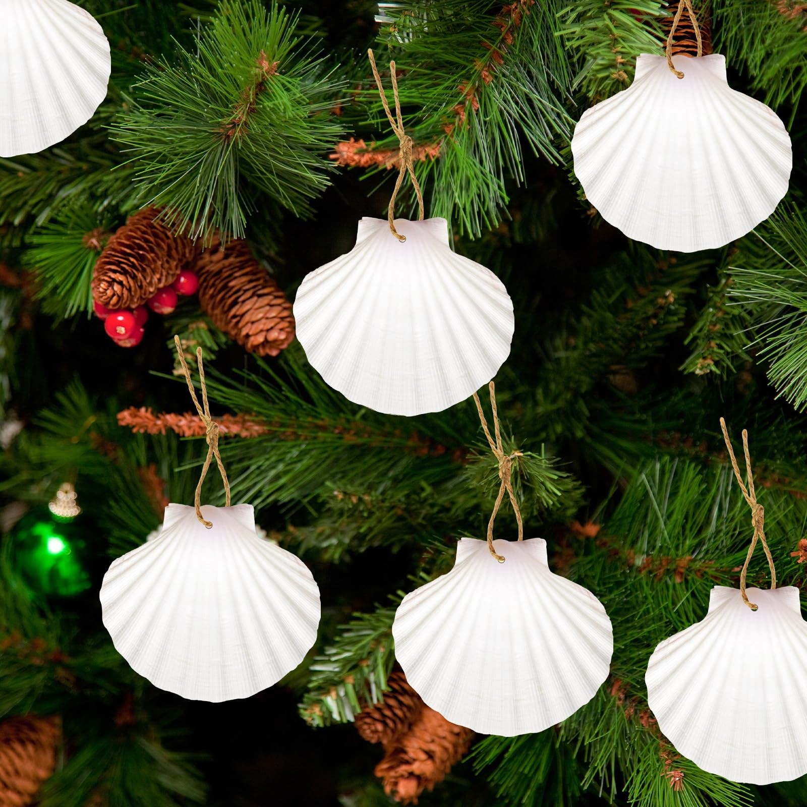 24 PCS 23 Inch Natural White Scallop Shells With Rope For Christmas Crafts