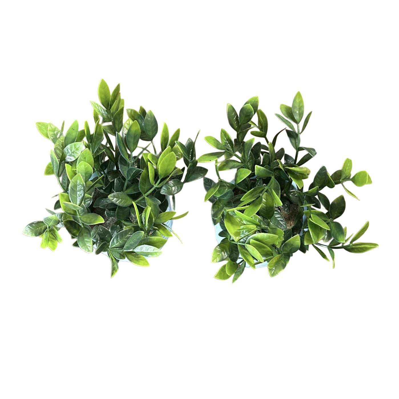Artificial Potted Eucalyptus Plants 8” Blue Textured Ceramic Vase Set Of 2