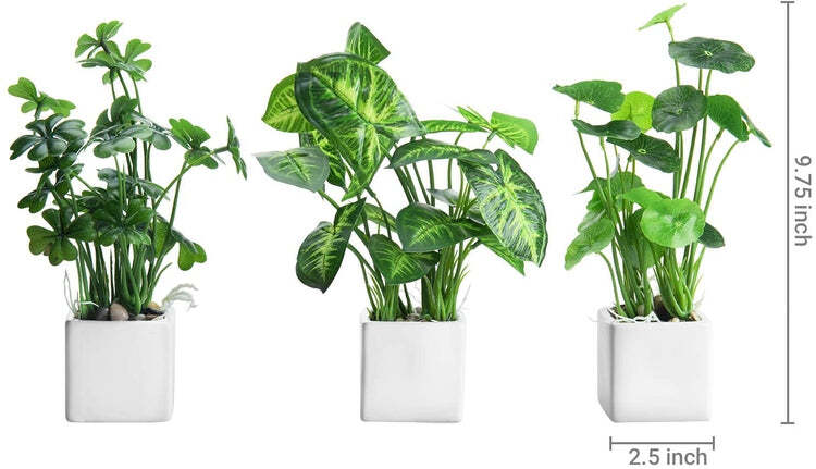 Artificial Assorted Plants, Greenery in White Square Ceramic Pots, Set of 3