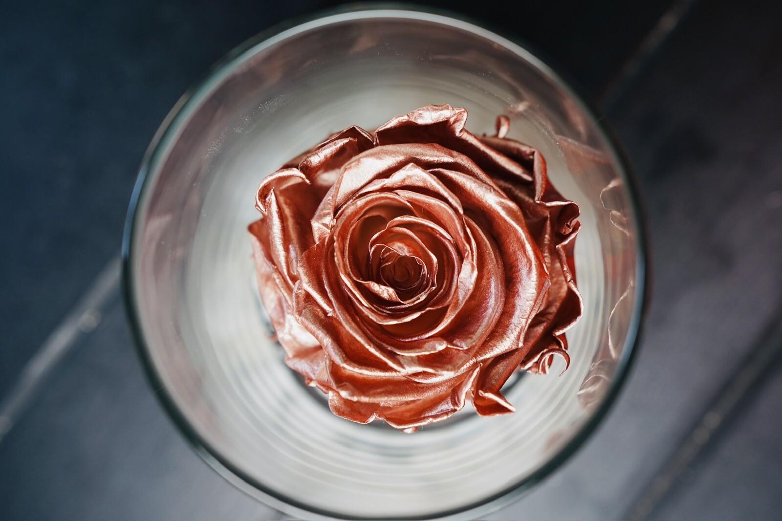 Real Rose Gift in Glass Jar Base White Stones Metallic Rose Gold Gift For Gf
