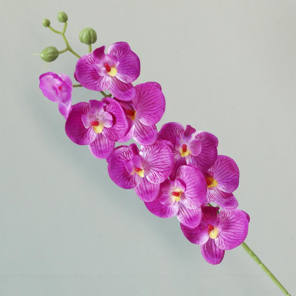 69cm Artificial Phalaenopsis Flower Branches Real Touch Faux Orchid Stems for Fl