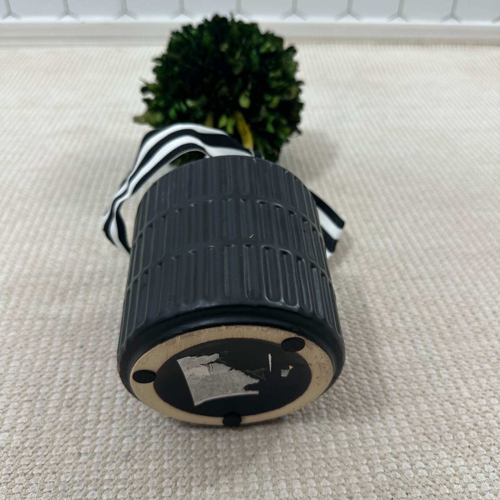 Preserved Boxwood Topiary 15in Ball in Black Ribbed Ceramic Pot Striped Ribbon
