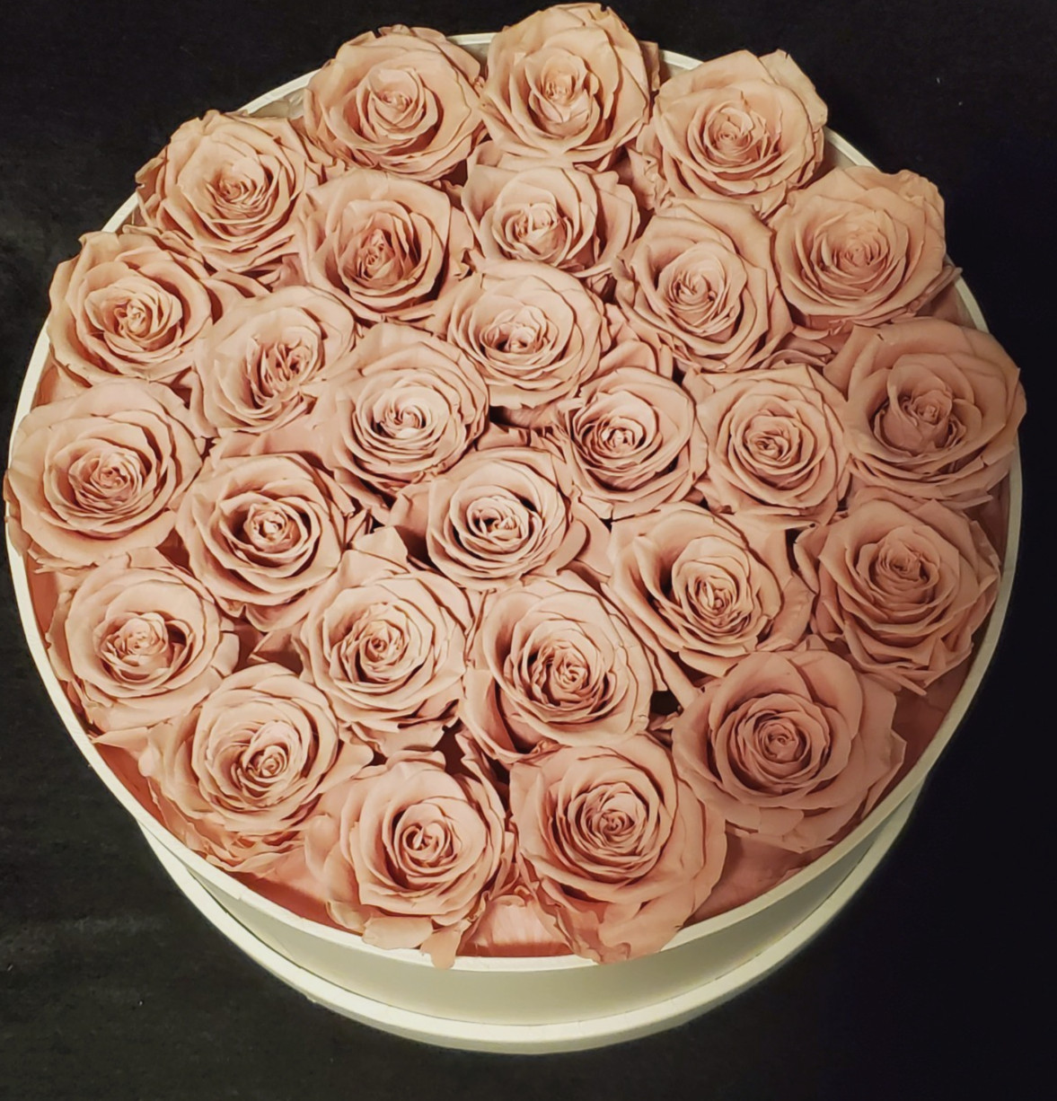 Perfectione Preserved REAL PINK ROSES White Round Lidded Box ~ Lasts 3-5 Years