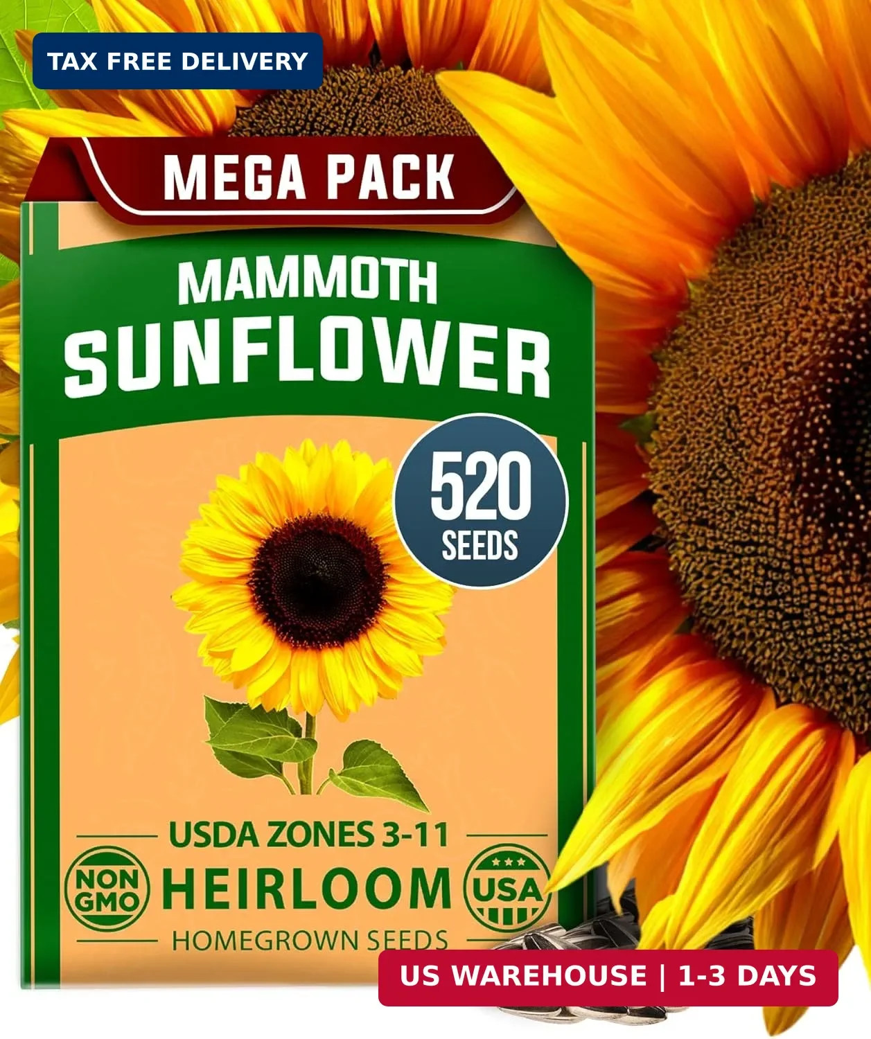 520+ Giant Mammoth Sunflower Seeds Heirloom High Germination Planting