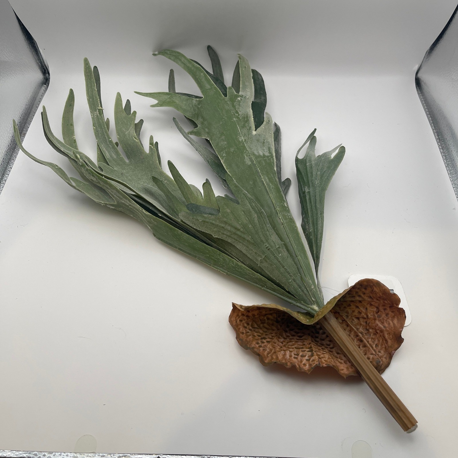 Faux Staghorn Fern Spray 20.5 Inch Artificial Tropical Platycerium Greenery Stem