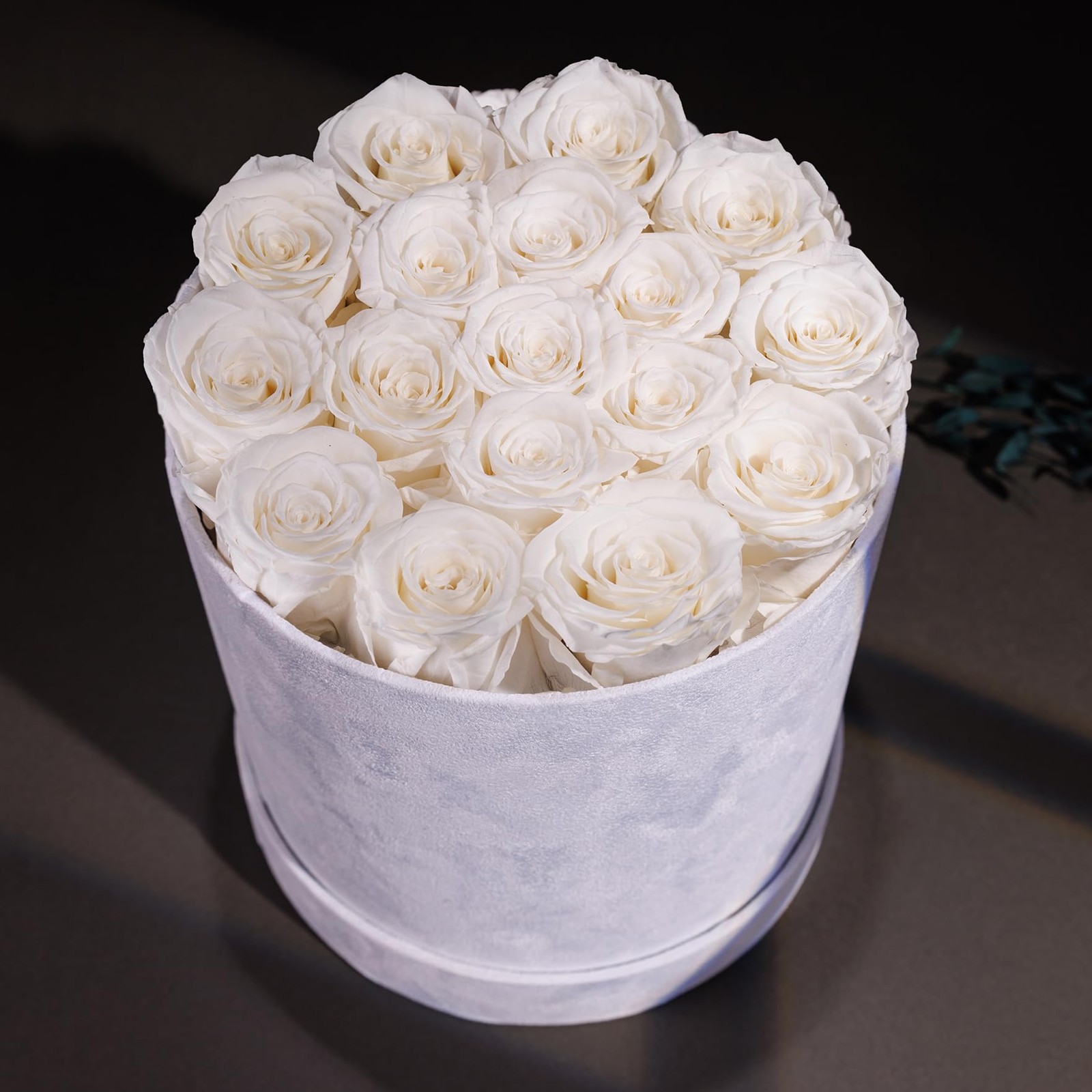 17 Flowers in a Luxury Suede Box, Birthday Gifts for Women, Preserved Flowers…