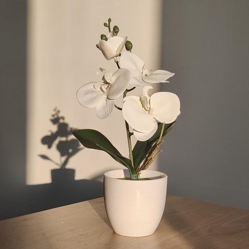 Artificial Butterfly Orchid – Potted Decor for Home, Office, or Wedding