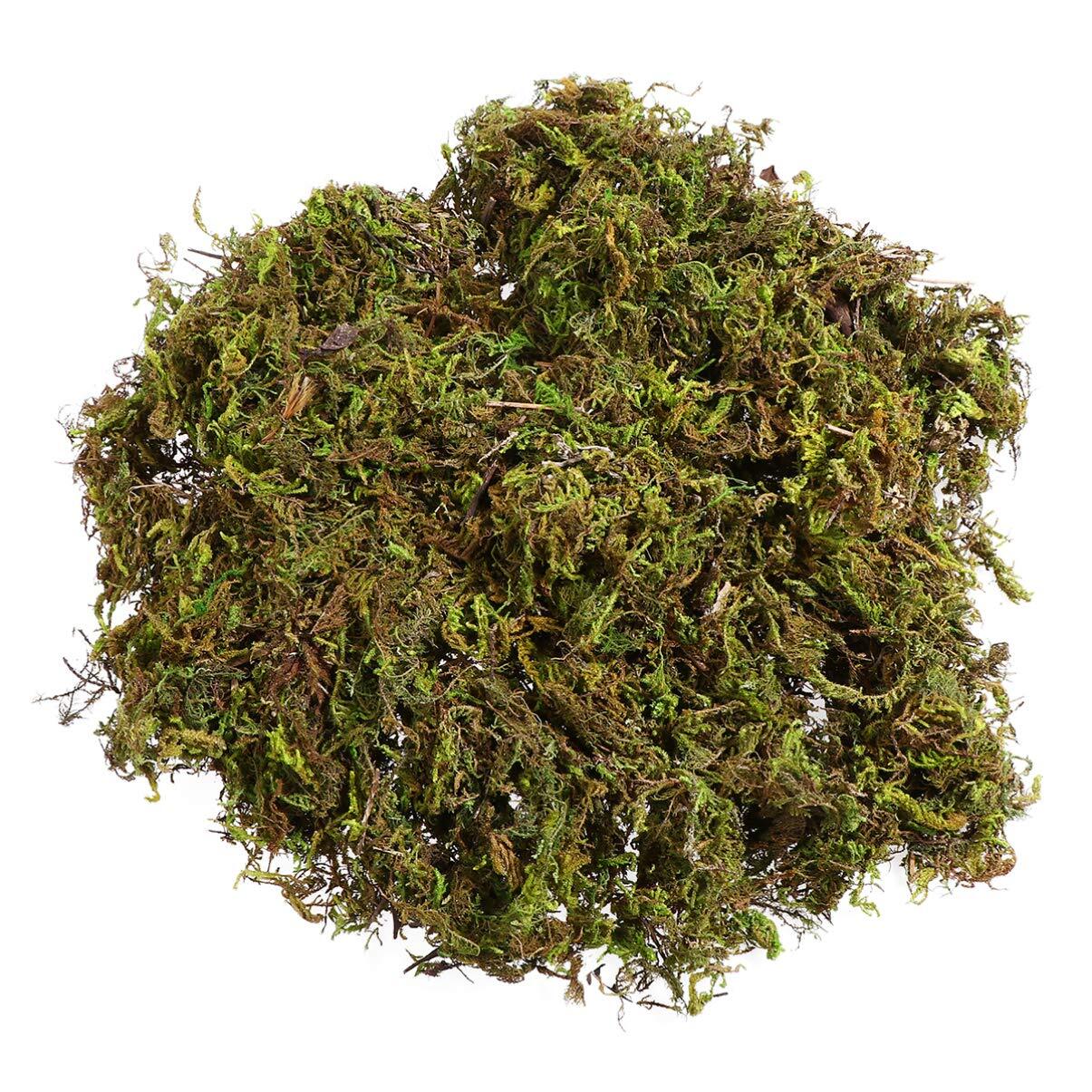 1 Pack Artificial Moss Fake Lichen Simulation Green Faux Pot Moss for DIY Min…