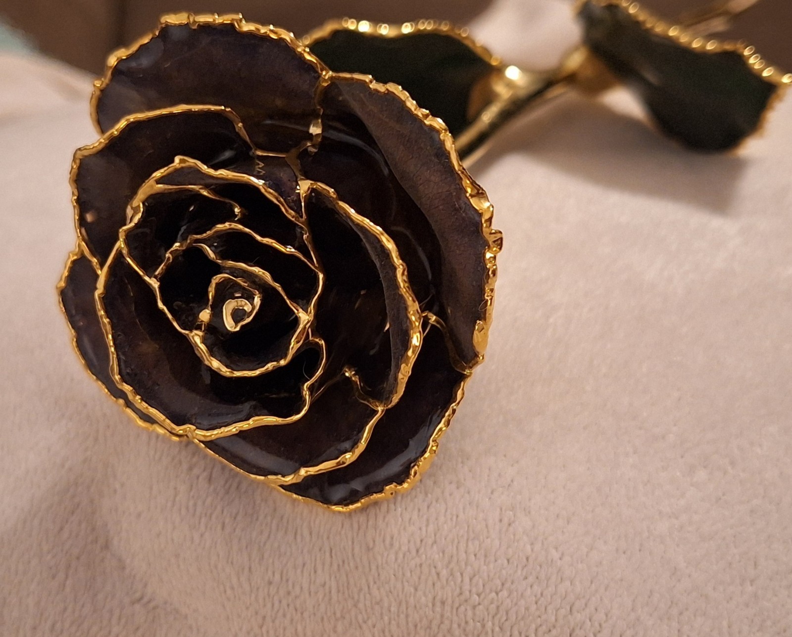 24k Gold Dipped Real Rose