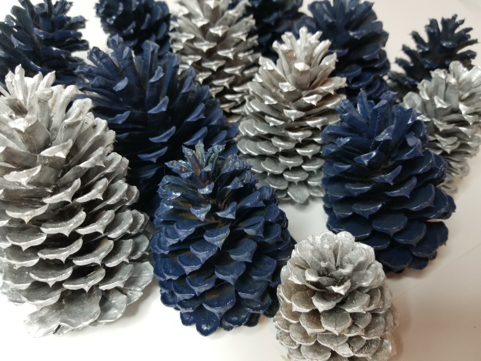 🎅15 Royal Blue & Silver Pine Cones Hand Painted Natural Premium Ponderosa Cones