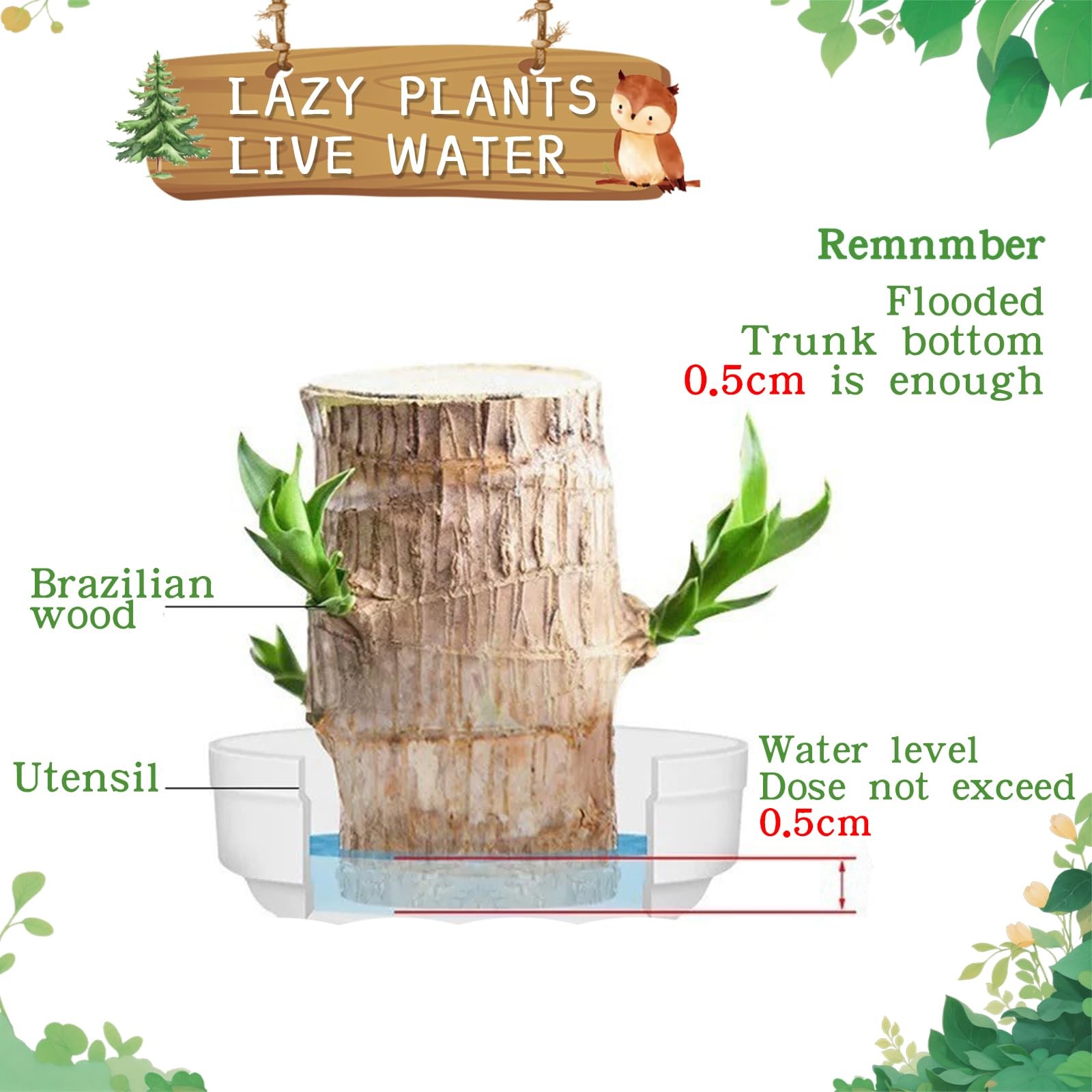 Brazilian Lucky Wood Plant,Fortune Brazil Wood Potted Plant with Owl Figurine…