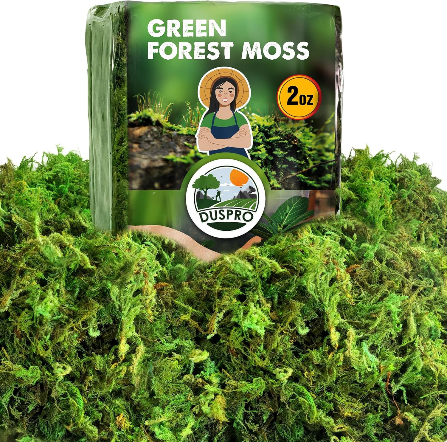 [Upgraded] Green Moss for Crafts, Real Forest Moss Potted Plants, Decorative Mo
