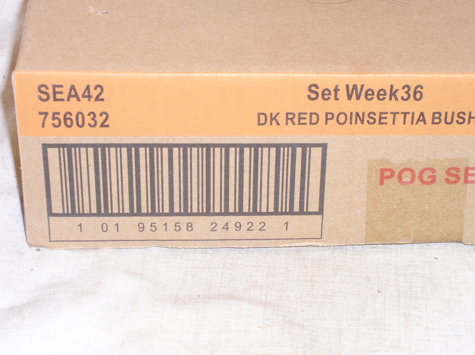 12 ASHLAND CHRISTMAS 9 INCH DARK RED POINSETTIA 4 STEM BUSH SILK FLOWER 756035