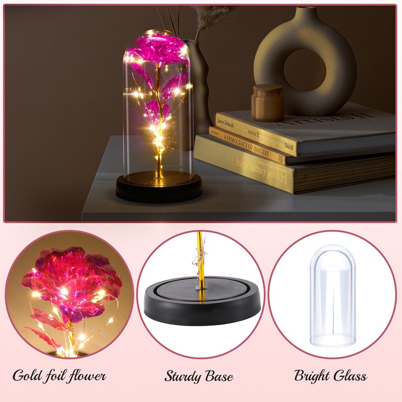 Christmas LED Eternal Galaxy Rose in Glass Forever Eternal Gift for Morther Wife