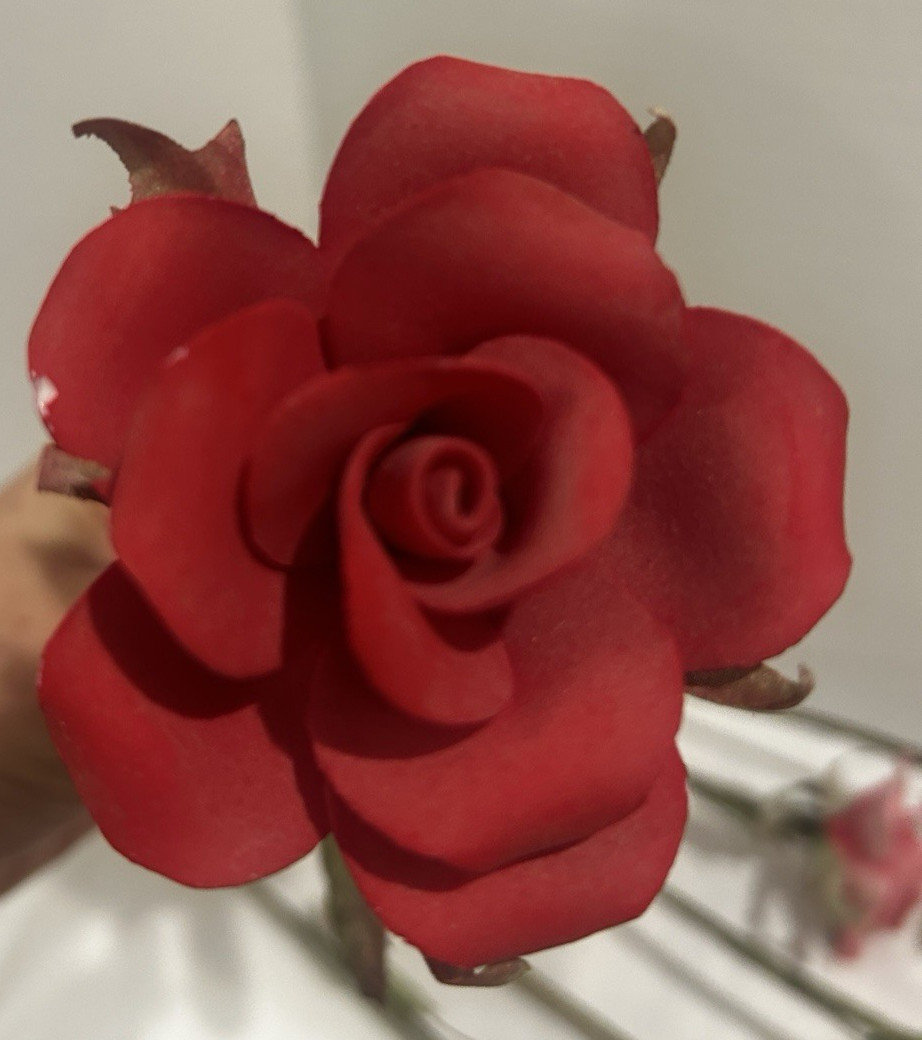 6 Vtg Porcelain Long stem roses silk leaves and wire stems-unique find!