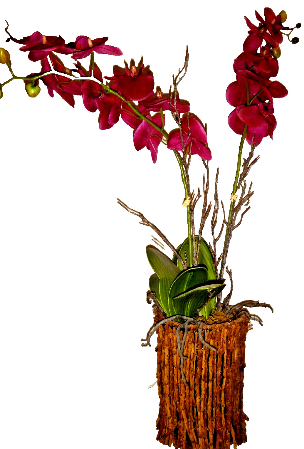 Artificial Potted Flowers Purple ORCHID Floral Home Décor Height : 35 inches