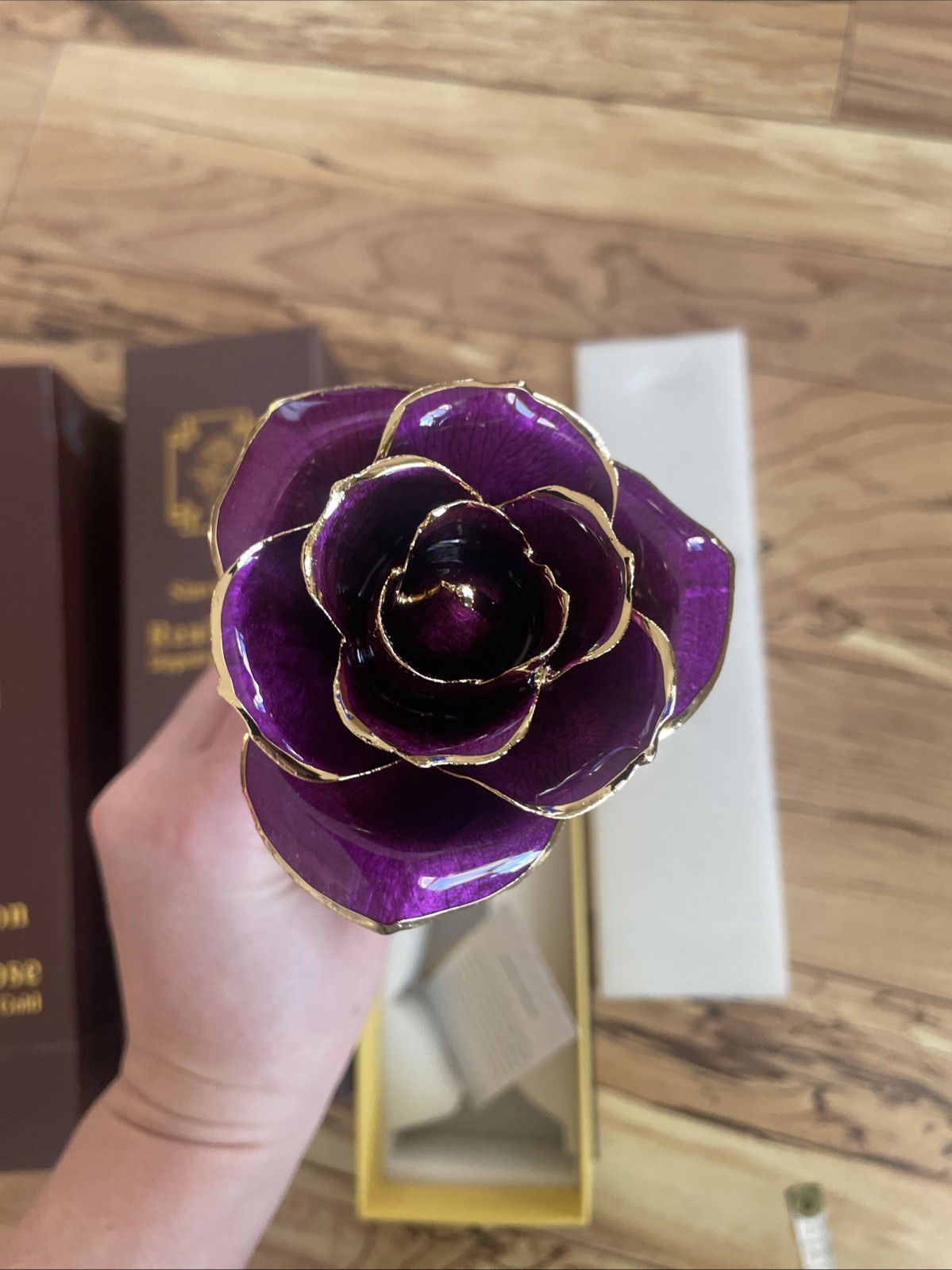 Gold Dipped Infinity Rose Forever Flower Decor, Resin Preserved Real Rose Birthd