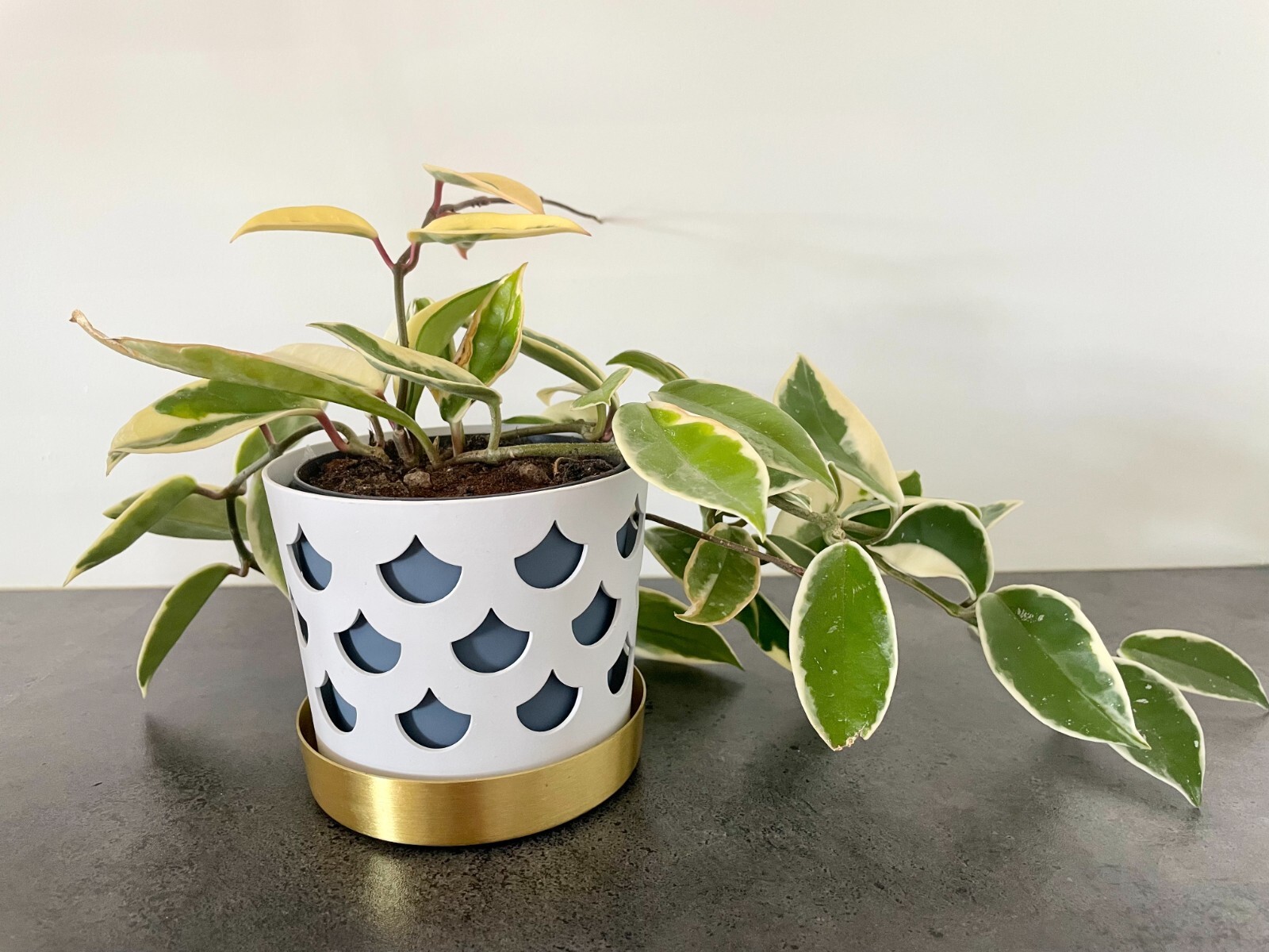 Klong Trio Blue INNER POT Swedish design Additional inner pot for the Trio serie