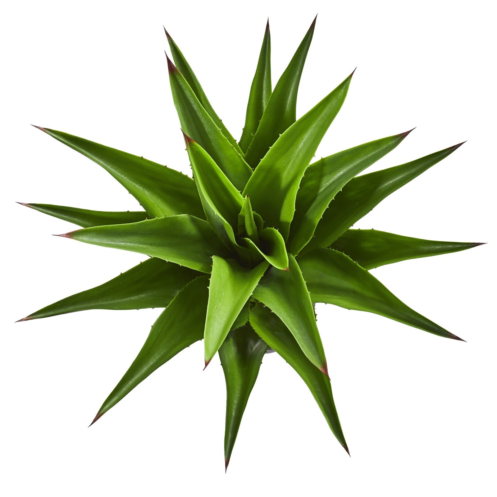30″ Agave Succulent Artificial Plant Home Decor. Retail $129