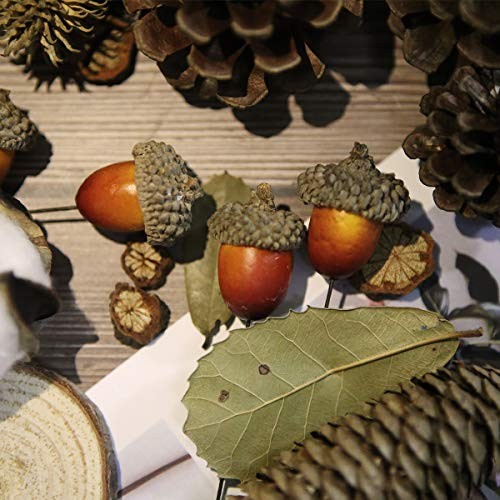 120 Pcs Apol Ornament Set – Natural Pinecones & Artificial Acorns