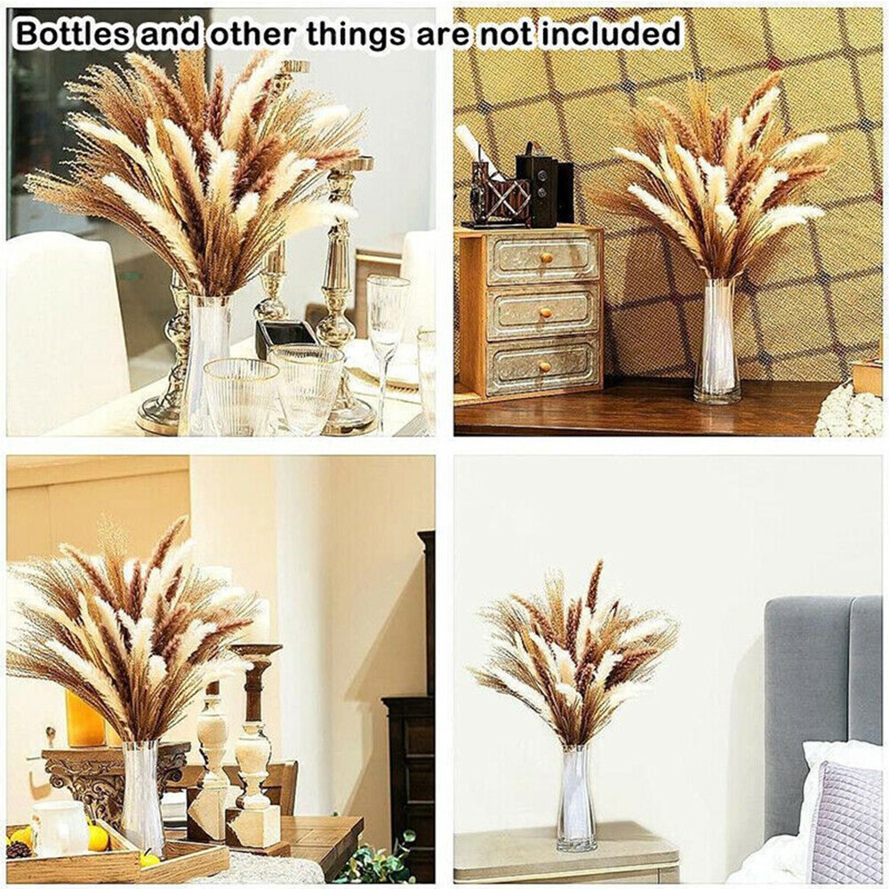 60PCS Pampas Grass Natural Dried Reed Flower Bunch Bouquets Home Wedding Decor