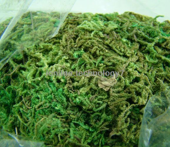 300 Grams Artificial Dried Moss Great Diy Arrangement for Flowers Hanging Basket
