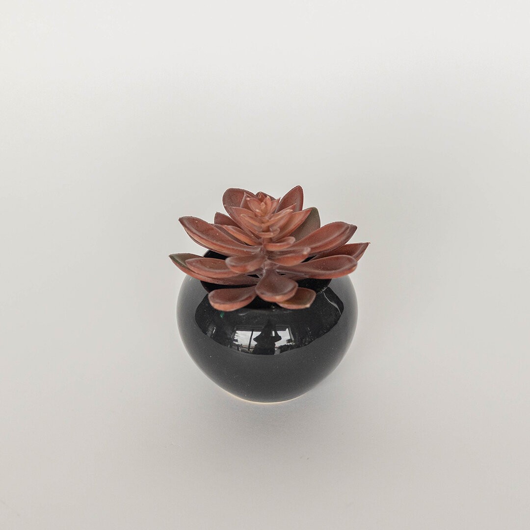 Red Succulent In Ceramic Pot Faux Plants And Trees
