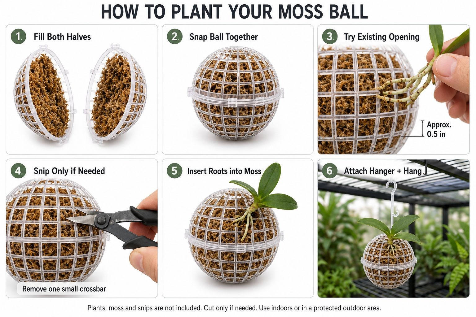 Hanging Moss Ball Planter Set of 2, 4 Inch Orchid Fern and Air Plant Baskets