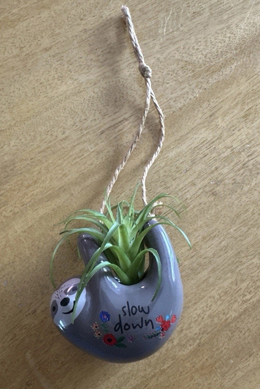 Sloth 🦥Grey Mini Hanging Critter Faux Air Plant Succulent Natural Life Collect