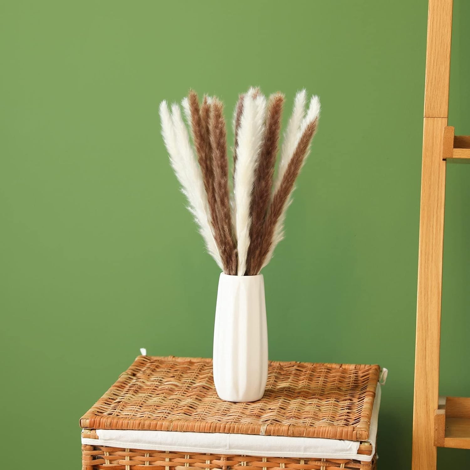 30 Pcs Natural Pampas Grass – Fluffy & Stylish 17.7 Inch Decorating Bouquets