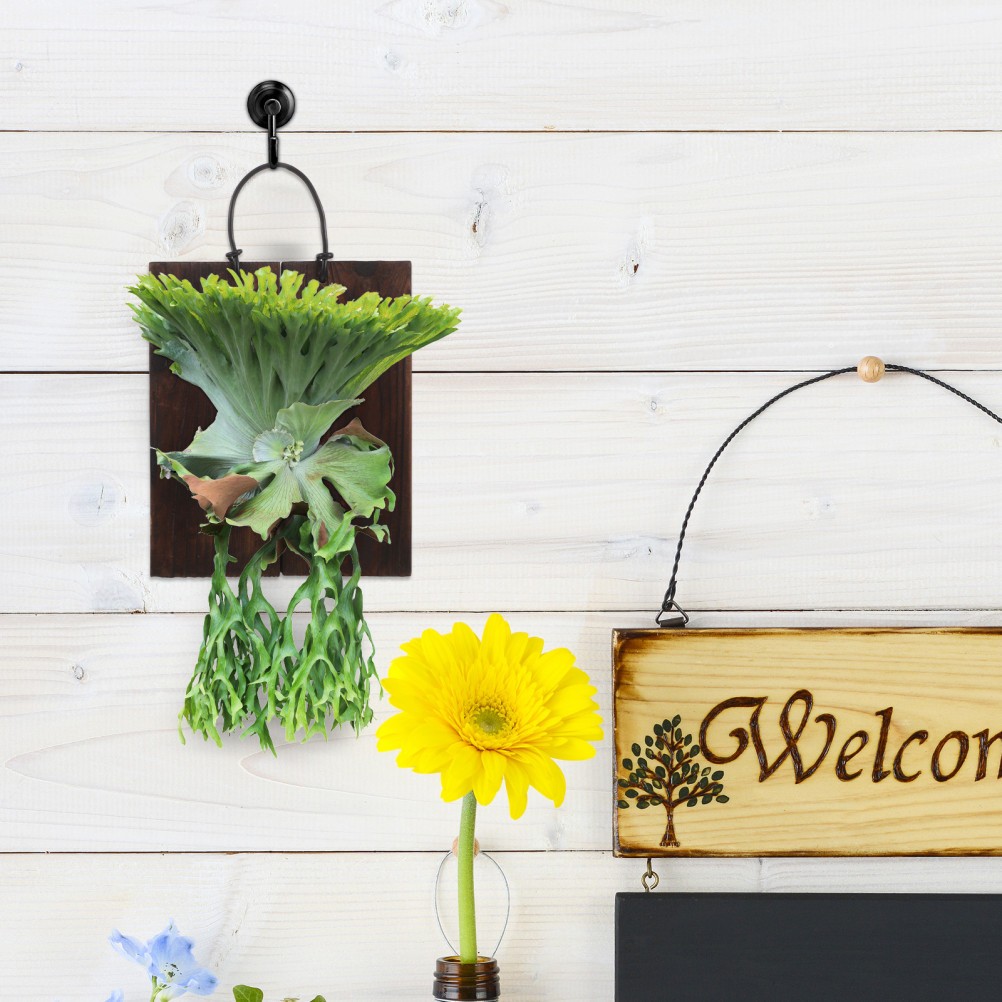 Fern Mount Kit: Decorative Wood Panel for –
