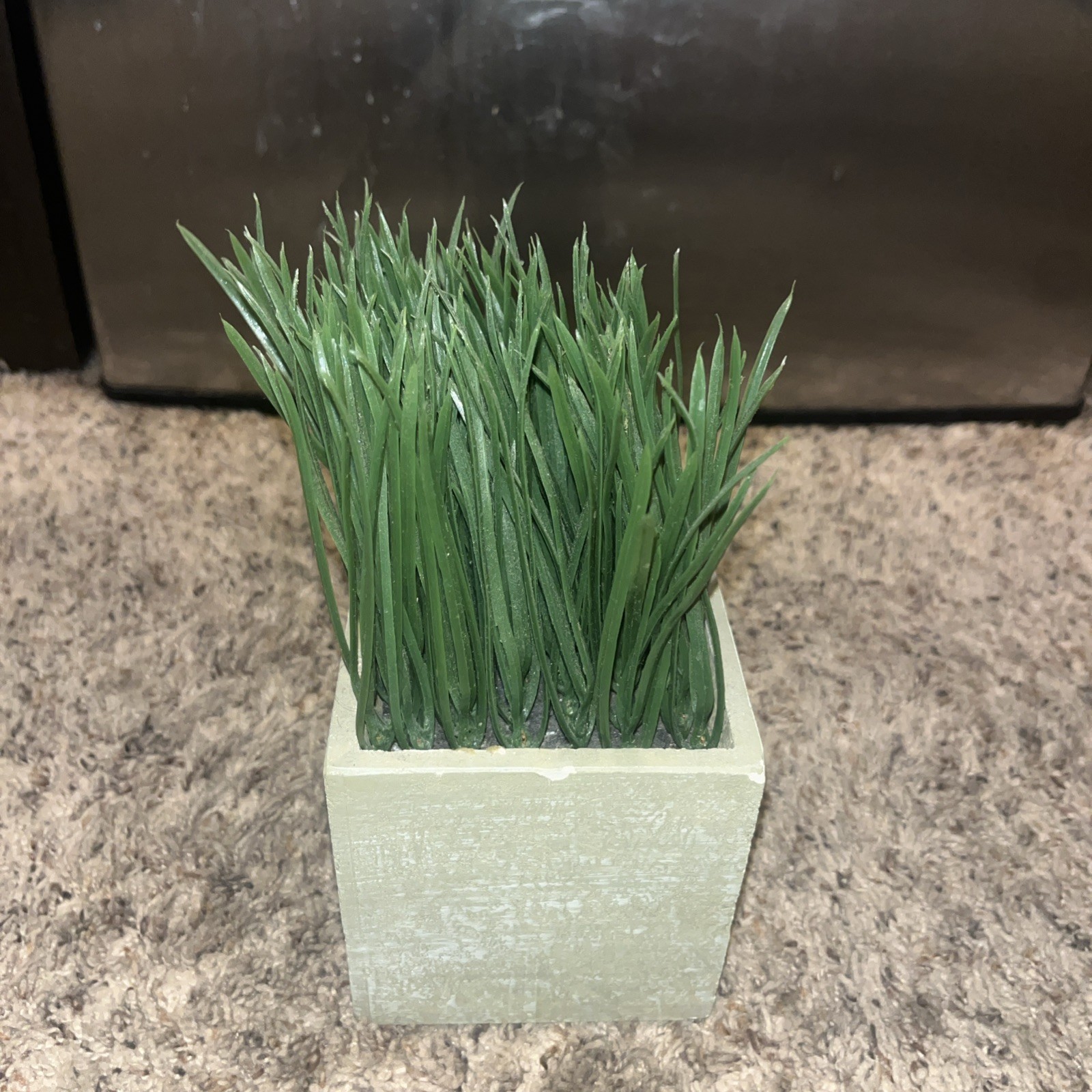 RusticReach Faux Grass in Black Pot￼