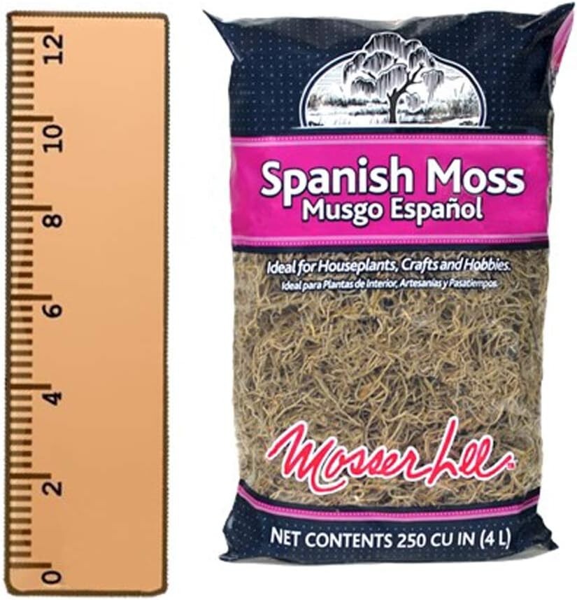 Natural Spanish Moss – 250 Cubic Inches for Terrarium and Flower Pot Elegance