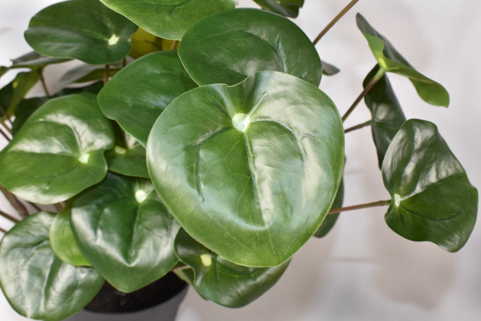 Pottery Barn Faux Elephant Ear Plant Plastic Pot Large 15″ NWOT – NO PLANTER POT