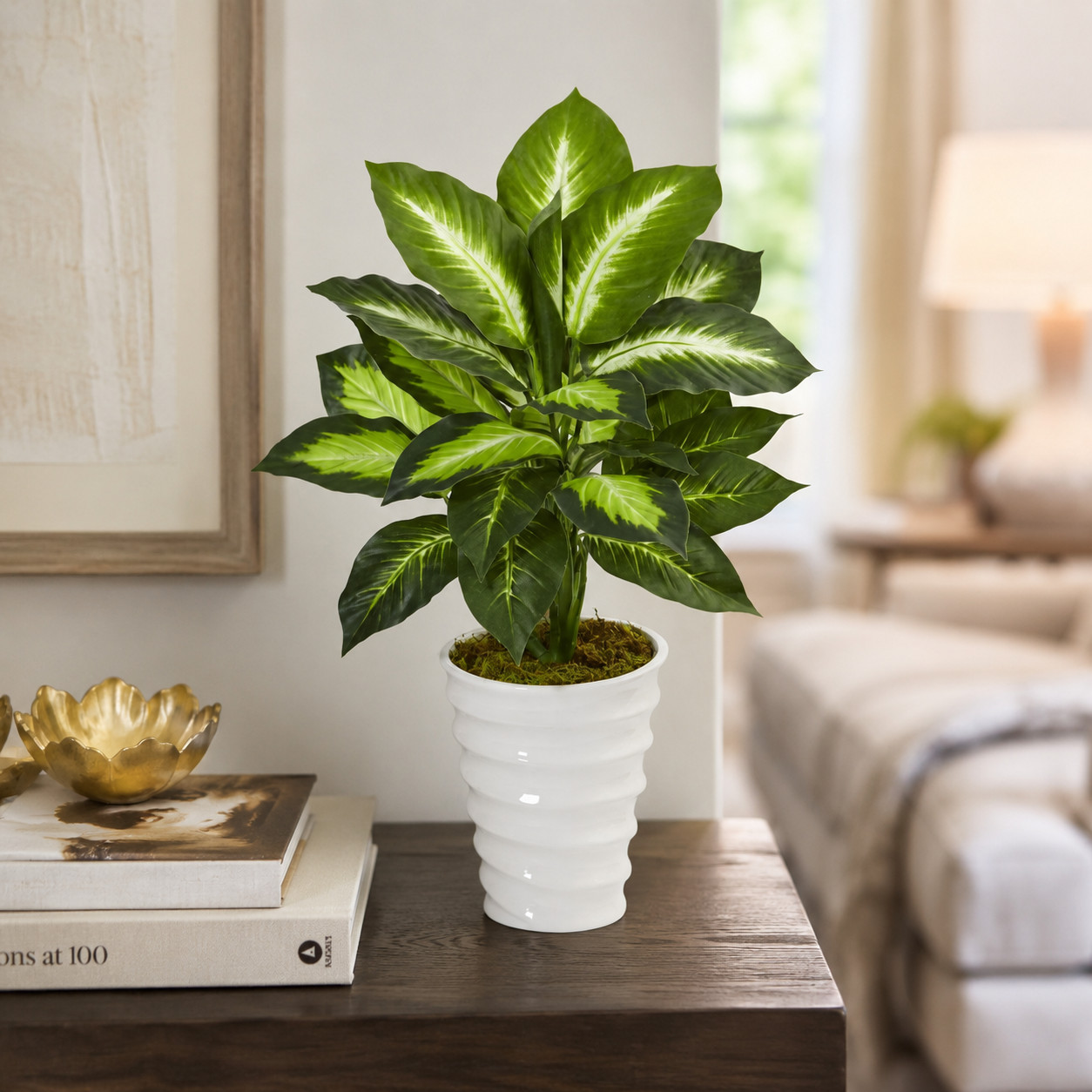 22″ Dieffenbachia in Swirl Planter