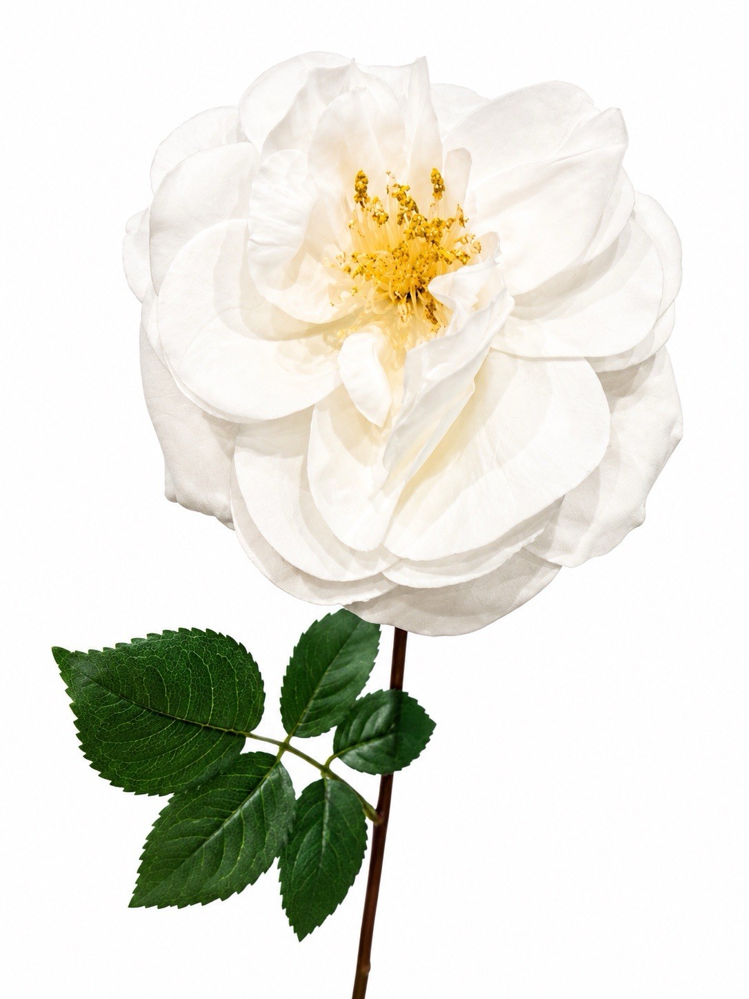 Ashland 24” White Faux Rose Stem – Realistic Artificial Floral Pick