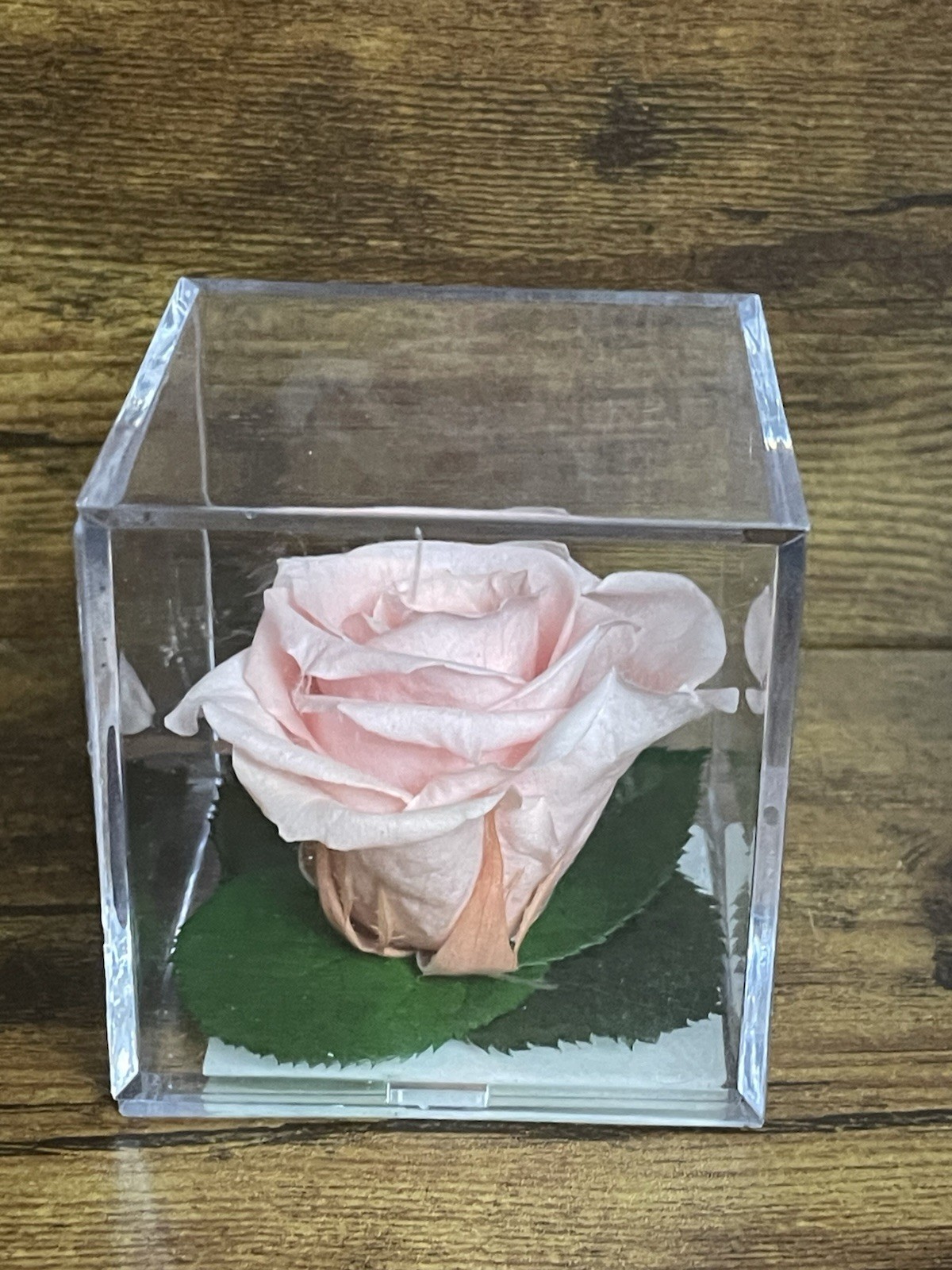 Verdissimo Preserved Rose Head in a Clear Acrylic Cube Light Pink Standard Size