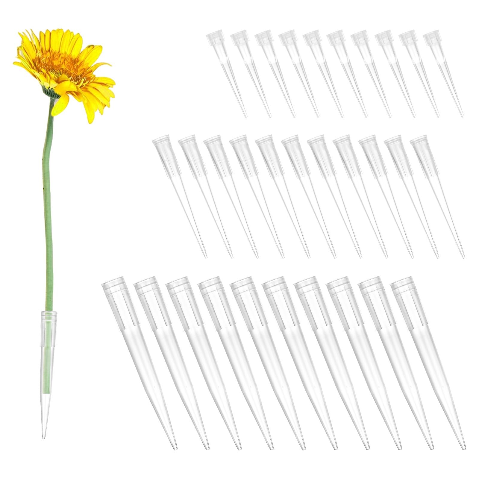 30 Pcs Floral Water Picks Flower Tubes for Fresh Flowers, Individual Floral W…