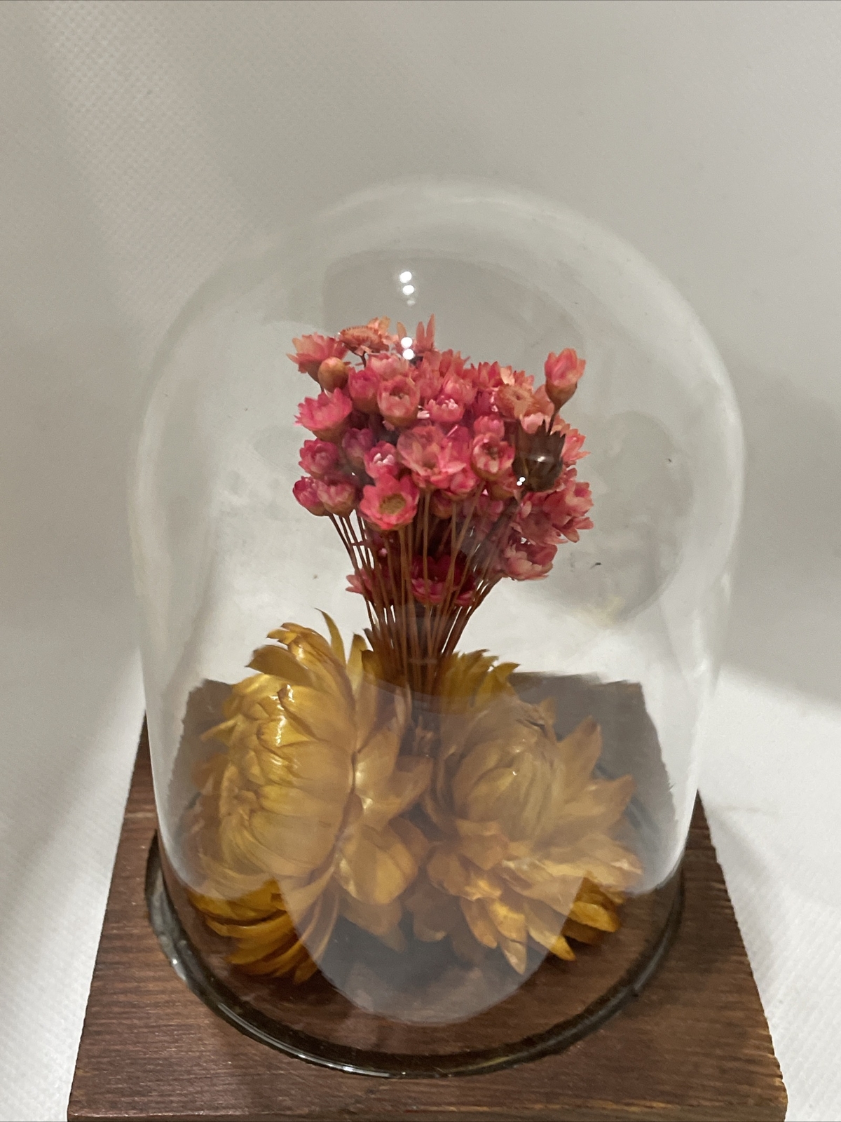 Vintage Leonard Creations California Dried Flower Glass Dome on Wood Base
