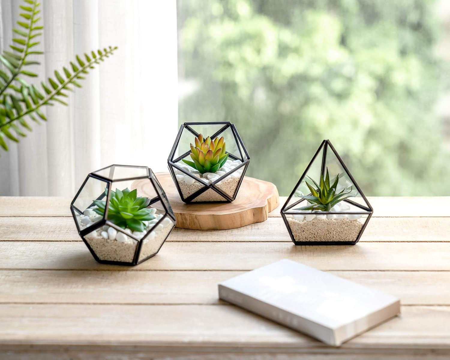 Artificial Succulent in 3 Pack Mini Glass Geometric Terrarium, Miniature Potted