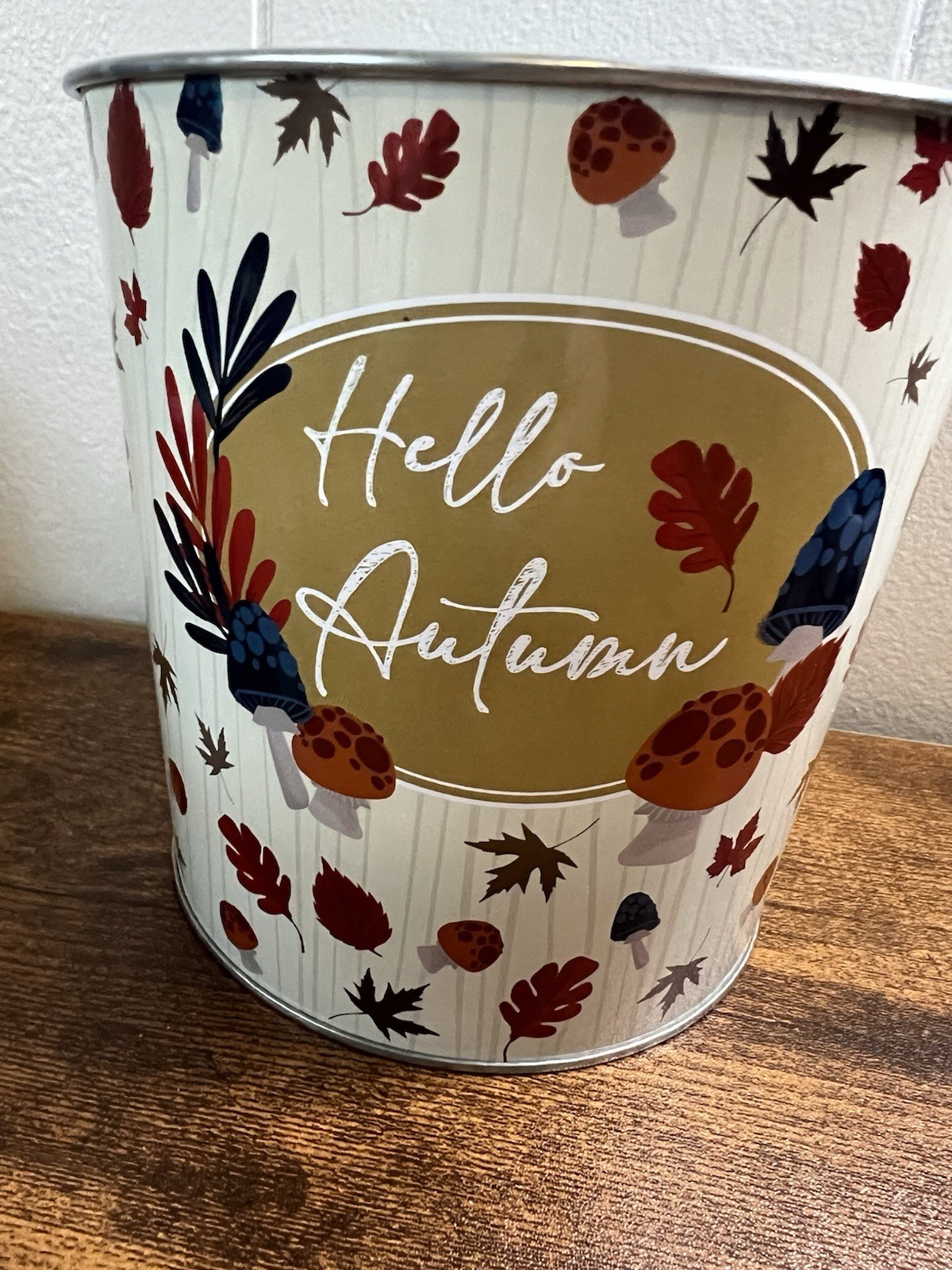 2 Round Tin, HELLO AUTUMN, Fall Flowerpot Can, Home Decor W/ 2 Ceramic Pumpkins